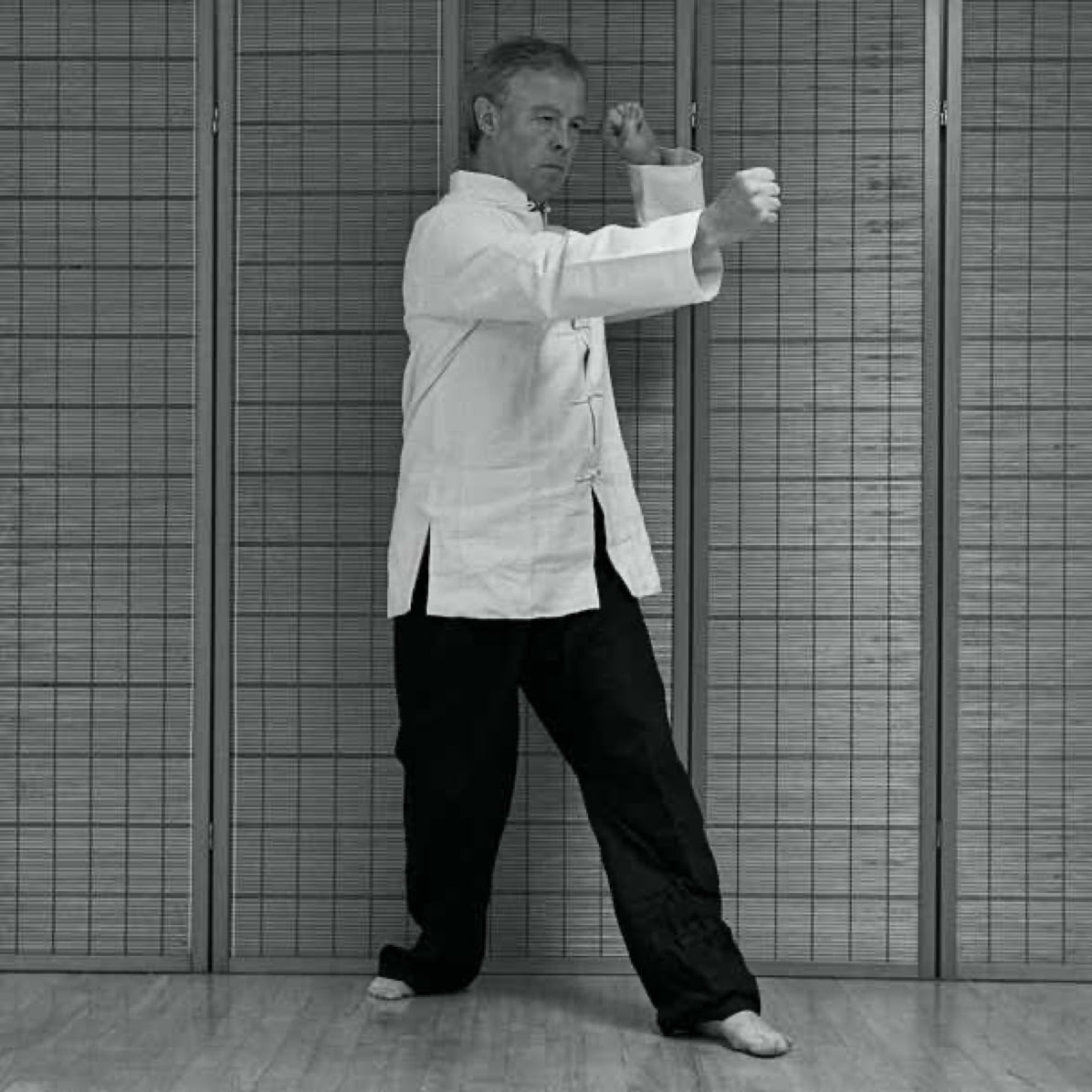 Stephen Forde performing XingYi Pao Quan