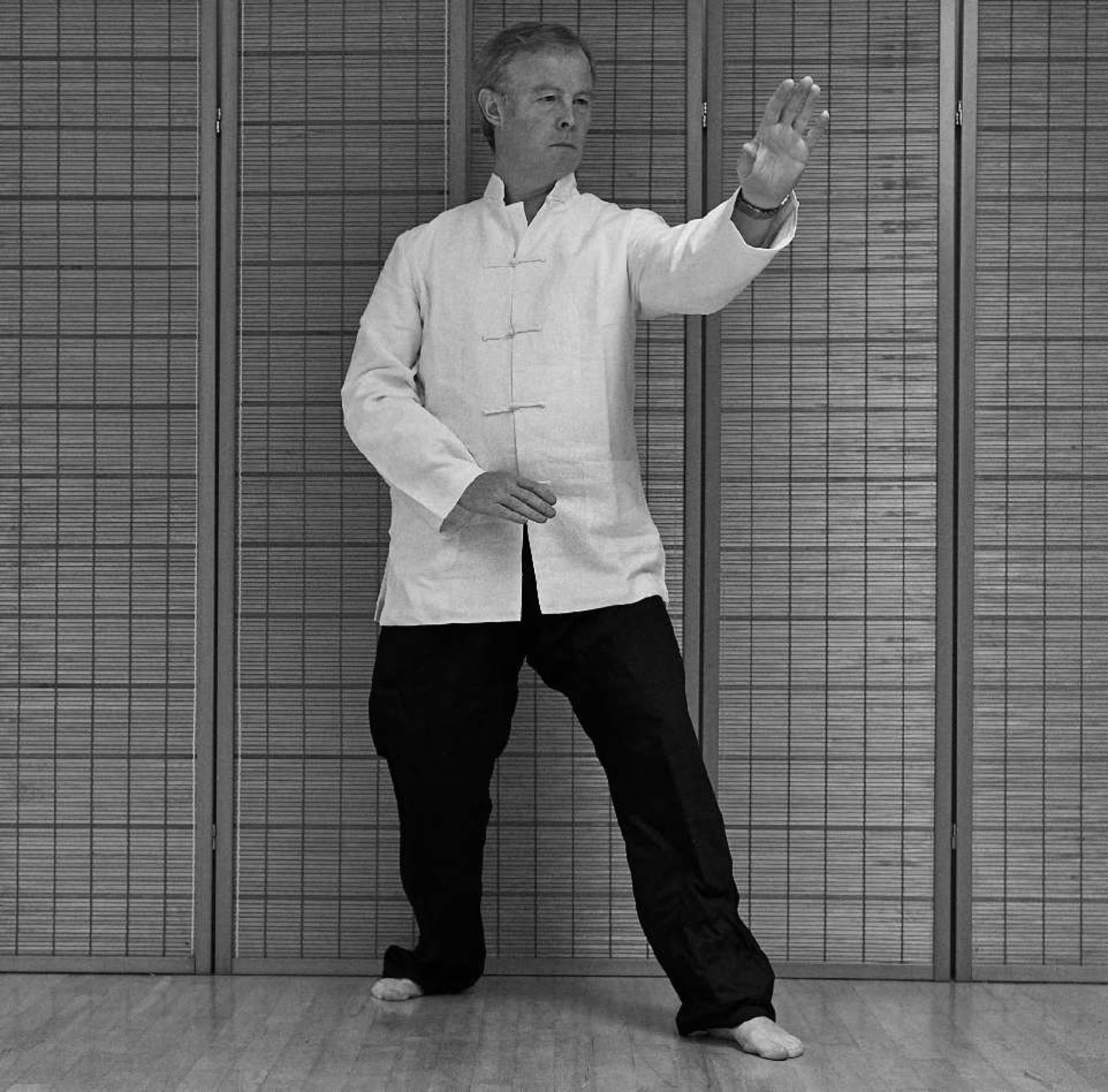 XingYi Stance PiQuan
