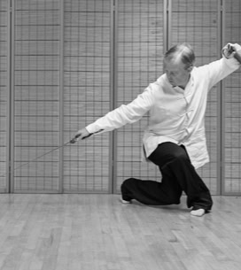 Step Back Coiled Dragon - Sword