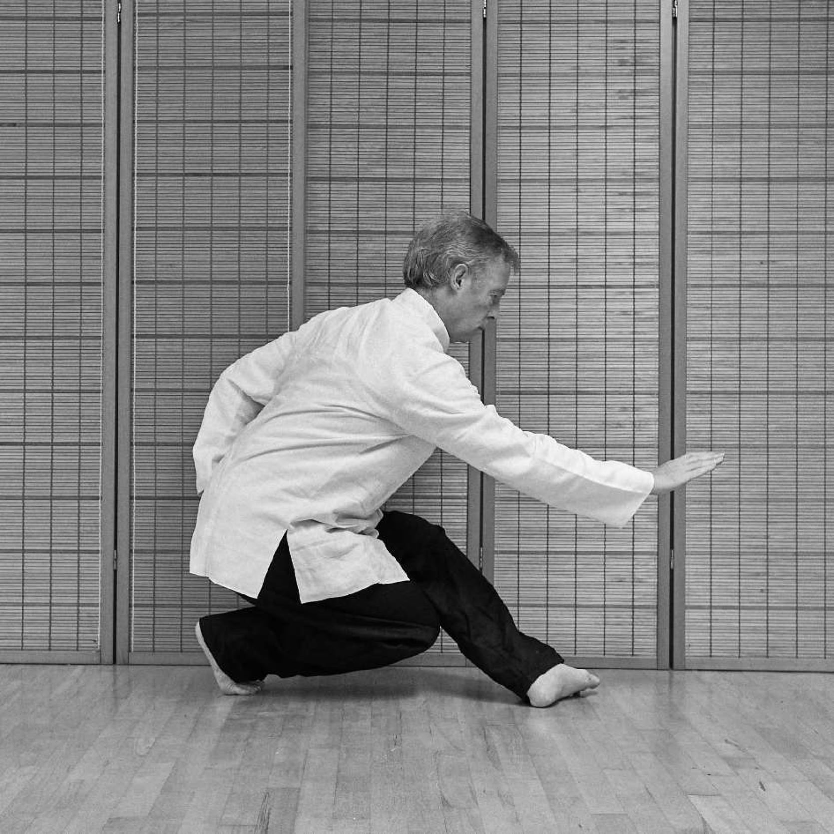 XingYi Dragon Stance