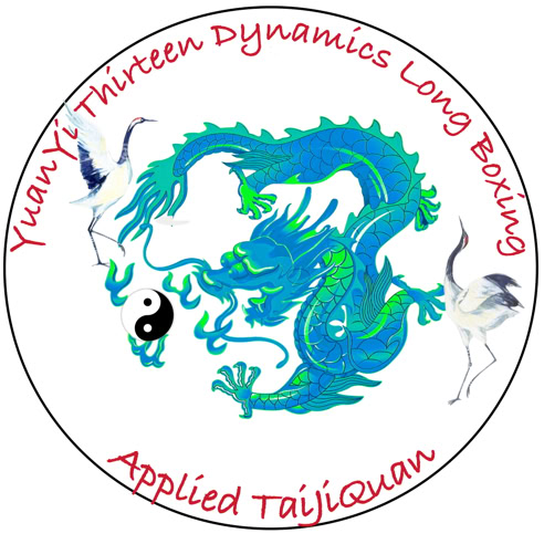Logo of 13 Dynamics Long Boxing